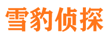 聂荣市调查公司